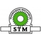 STM